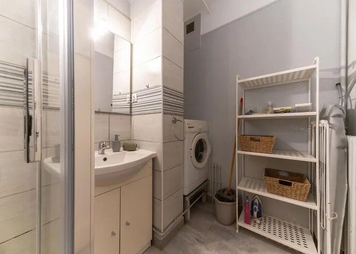 Le Victoria - Coeur De Avec Vue * ヴィシー